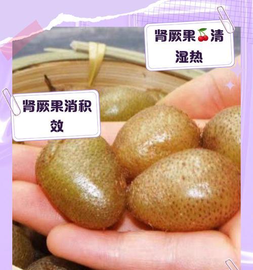 肾厥花语有何深意？肾厥花象征着什么？