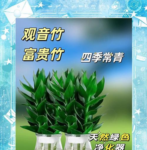 绿箩竹花语代表什么？绿箩竹的花语有何深意？