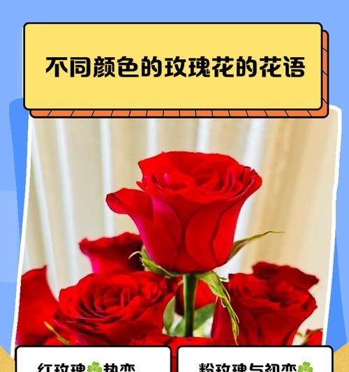 玫瑰花语手链的意义？如何选择合适的玫瑰花语手链？