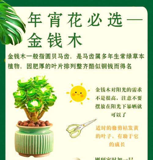金铃木花语有哪些含义？金铃木的种植和管理方法是什么？
