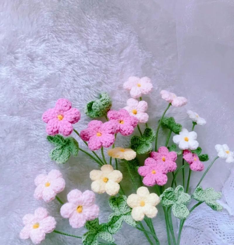 醋浆草的花语象征着什么？