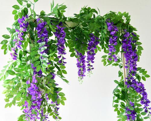 曼腾花的花语代表什么含义？