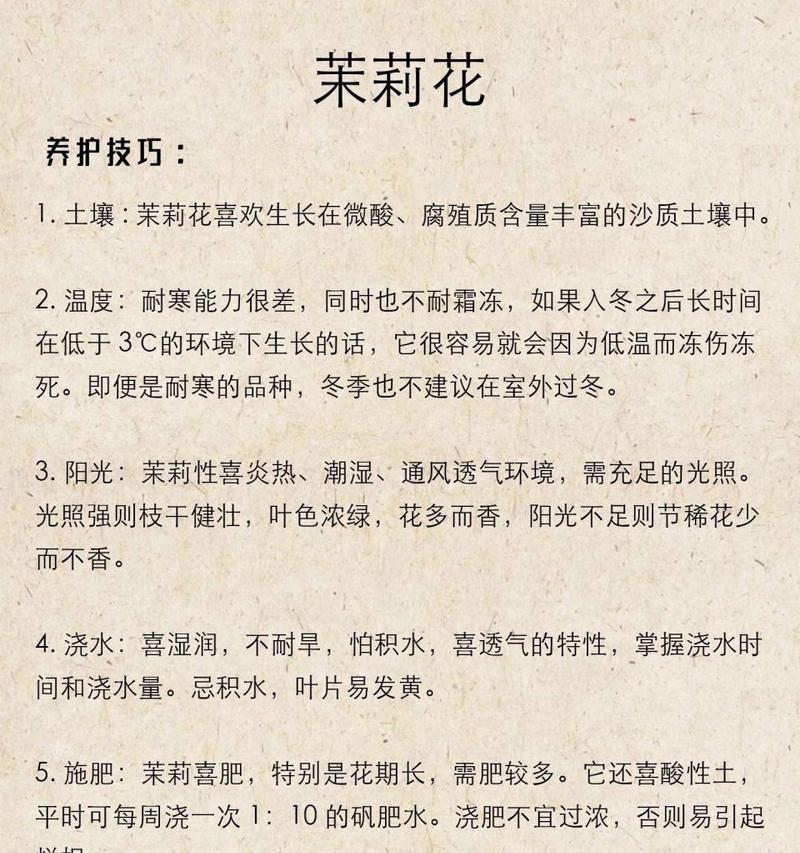 茉莉花语诗的含义是什么？