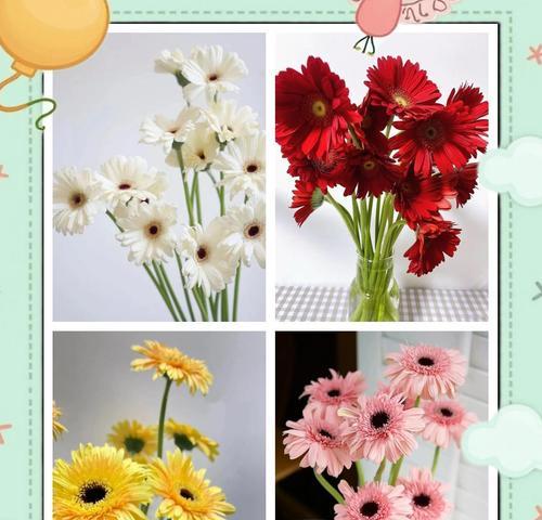 芙郎花的花语代表什么含义？