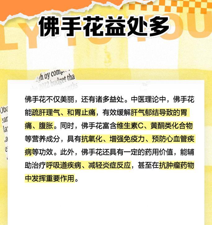 拂手花的花语代表什么？