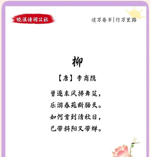 柳桃花花语代表什么？如何挑选柳桃花表达爱意？