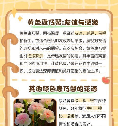 最暖的花语是什么？如何用花语传递温暖？