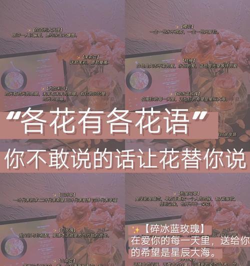 墨桔梗花语有何寓意？如何用墨桔梗表达情感？