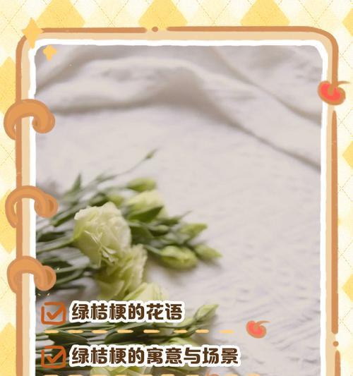 墨桔梗花语有何寓意？如何用墨桔梗表达情感？