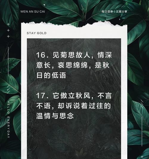幼菊花花语是什么？如何表达爱意？