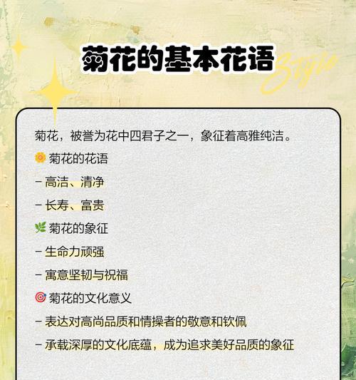 幼菊花花语是什么？如何表达爱意？