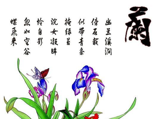 兰花菜花语有哪些含义？如何正确解读？