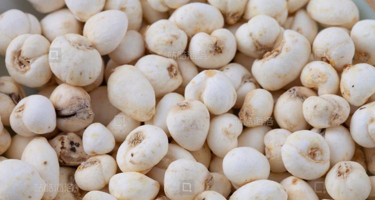 平贝母花语是什么意思？平贝母象征着什么？