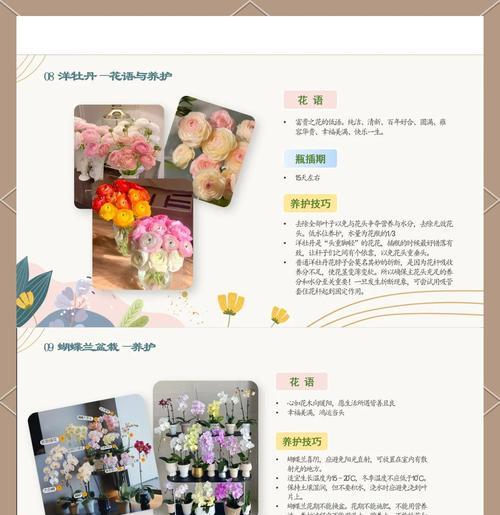 雯心草花语有何寓意？雯心草代表了哪些情感？