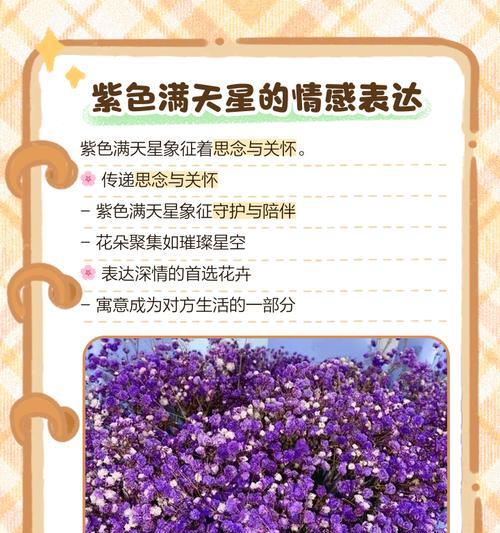 紫作的花语是什么？紫作象征着什么？