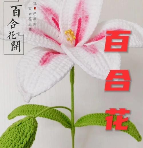 百合好花语代表什么？百合好象征了哪些情感？