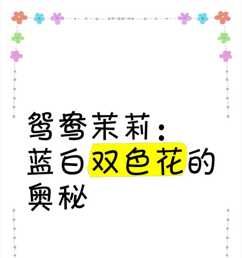 蓝白花的花语有哪些？蓝白花代表什么意义？