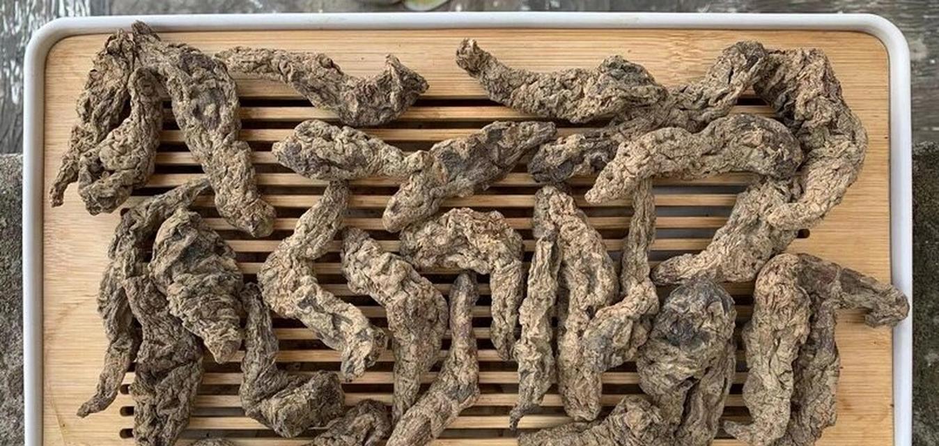 生地黄花语有哪些含义？生地黄花代表什么？