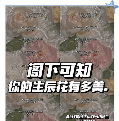 白石竹花语是什么？白石竹花代表什么意义？