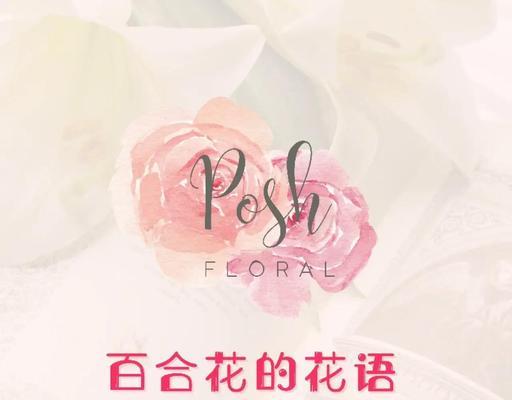 百合华花语有哪些含义？百合华花象征着什么？