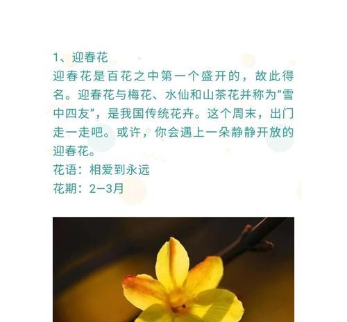 金银木花语是什么？如何用它来表达情感？