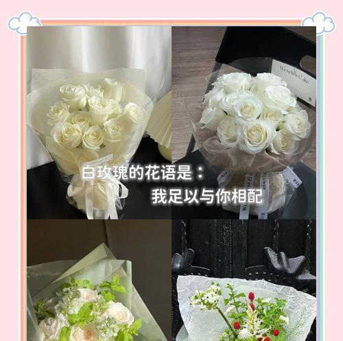 菖兰花语有何含义？如何用它来表达爱意？