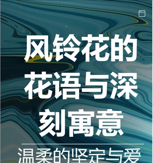 紫颂花花语代表什么？如何用它来表达？