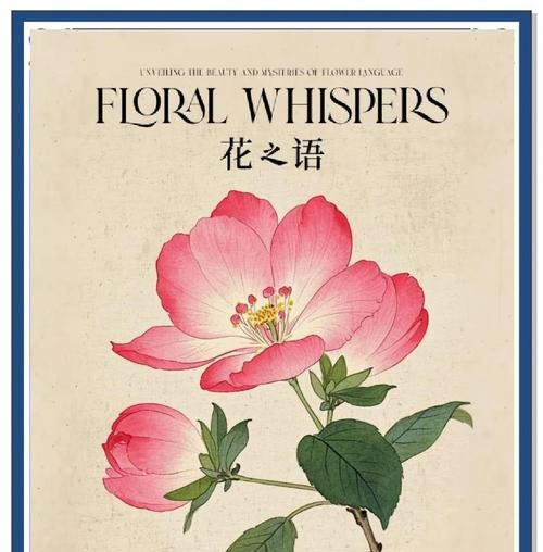 小钟兰花语是什么？如何用它来表达情感？