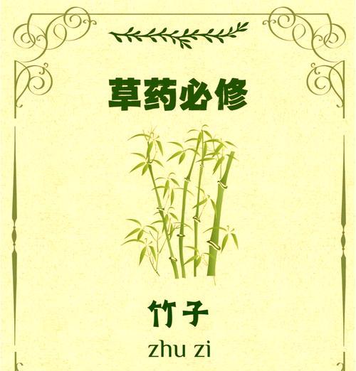 竹子的花语和寓意是什么？