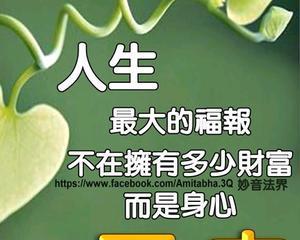 花语健康平安代表什么？