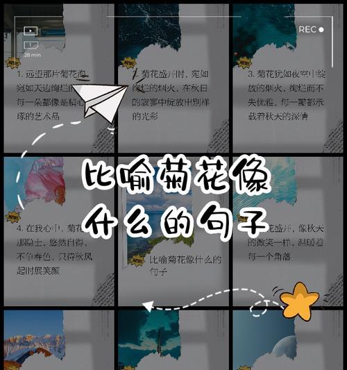 花语是傻的花代表什么？