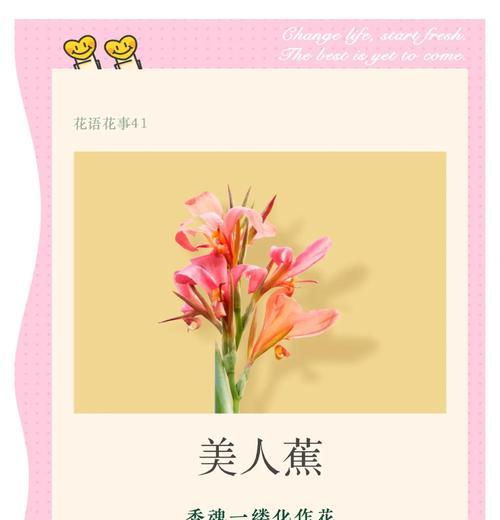 红蕉的花语是什么？红蕉代表了哪些情感？