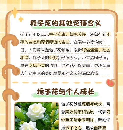 深栀子花花语有哪些？深栀子花代表了什么？
