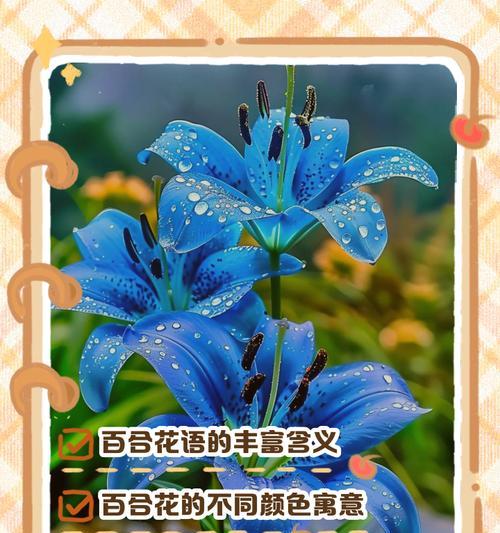 百合花语头代表了什么？如何正确理解？