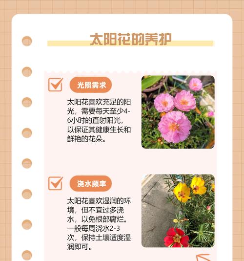 花的各种花语有哪些？它们在花语大全中如何分类？