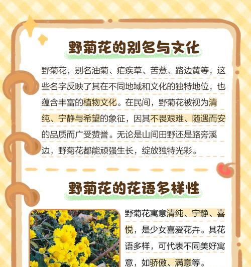 菊花的花语是什么？它在花语大全中有什么特别含义？