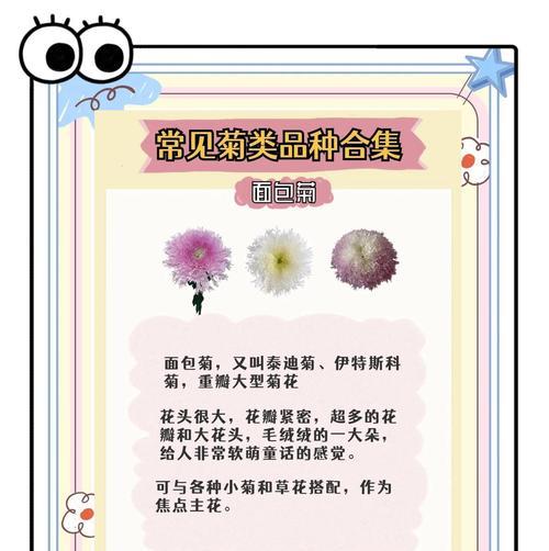 菊花的花语是什么？它在花语大全中有什么特别含义？