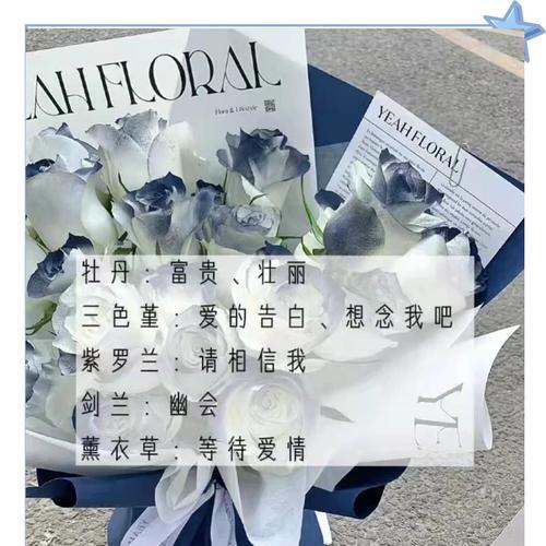 花语大全中包含了哪些花的花语？如何使用这些信息？