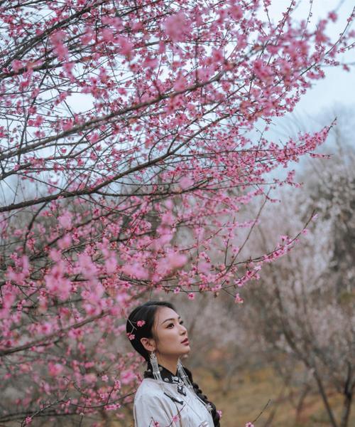青梅花的花语代表什么含义？