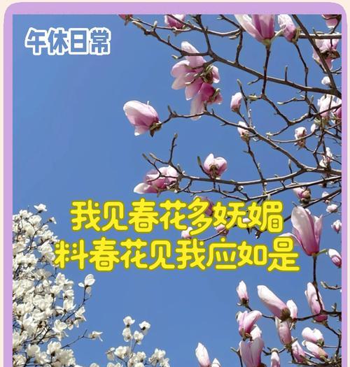 碧玉兰的花语代表什么含义？