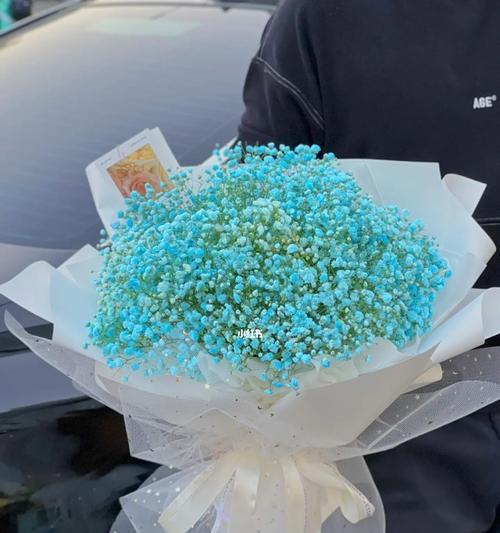 满天星鲜花语是什么？搭配其他花束有何讲究？