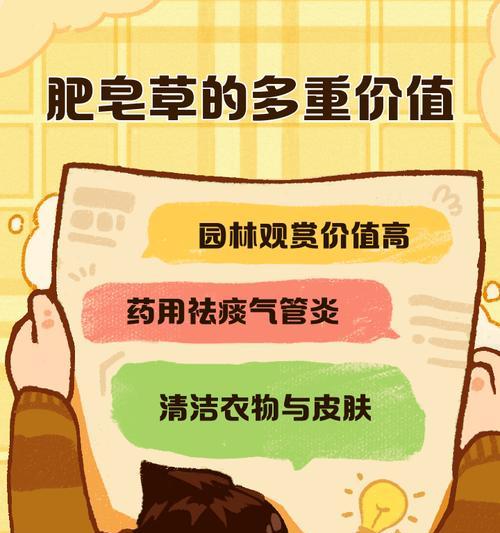 肥皂草的花语是什么？肥皂草象征着什么？