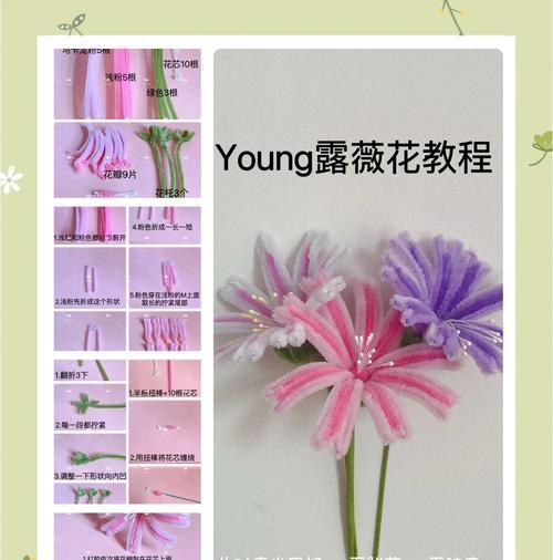 露薇花的花语是什么？它代表了怎样的情感？