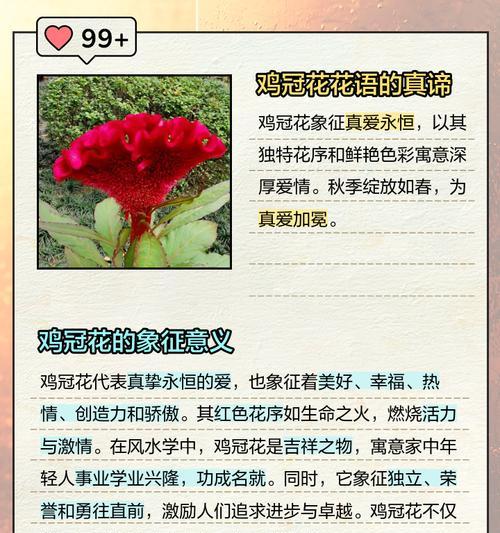 古时候的花语有哪些？古代花语与现代有何不同？