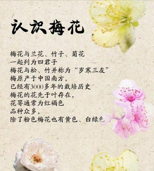 梅花的花语是什么？梅花在中国文化中代表了什么？