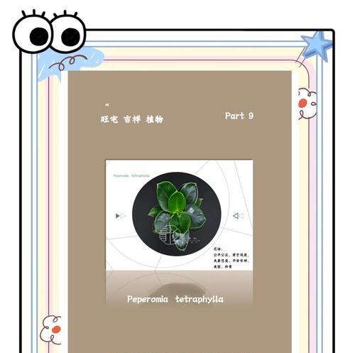 花语豆瓣绿是什么？豆瓣绿花语的寓意是什么？