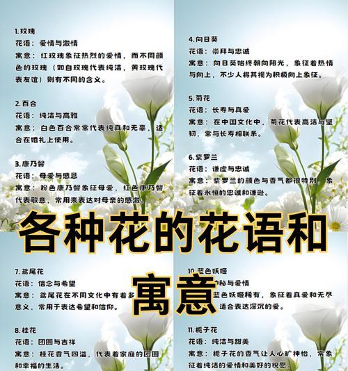 草的花语大全是什么？各种草本植物的花语是什么？