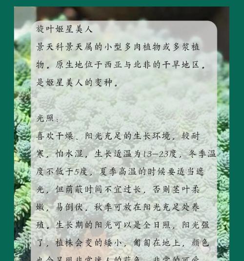 景天植物的养殖方法和注意事项？