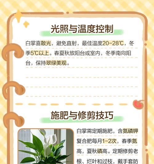 白掌修剪的正确方法是什么？如何修剪才能促进生长？
