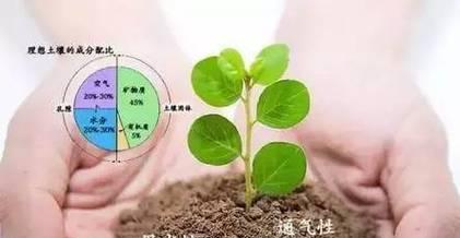 蟹爪连的养殖方法是什么？如何确保其健康生长？